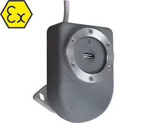 Спектрон-401В.01 (на вспышку) Спектрон-401В.01 (на вспышку)