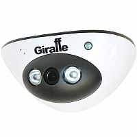 GF-IPDIR4454MPA1.0 - широкий выбор, низкие цены, доставка. Монтаж gf-ipdir4454mpa1.0