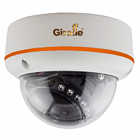 GF-IPDIR4423MPWF1.0 - широкий выбор, низкие цены, доставка. Монтаж gf-ipdir4423mpwf1.0