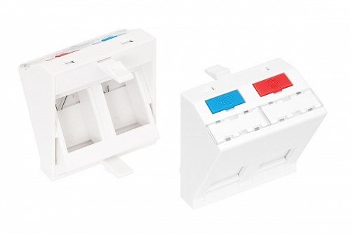 NMC-PM2P-AF-WT NMC-PM2P-AF-WT